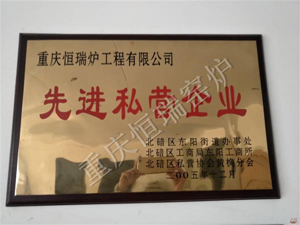 2005年先進(jìn)私營(yíng)企業(yè)