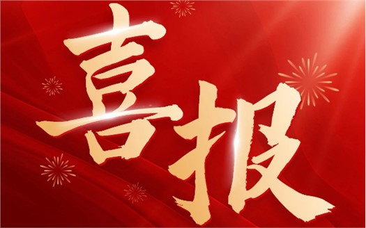 集團(tuán)榮膺2025中國(guó)民營(yíng)企業(yè)500強(qiáng)第249位，制造業(yè)民營(yíng)企業(yè)500強(qiáng)第177位，排名較去年雙雙大幅提升